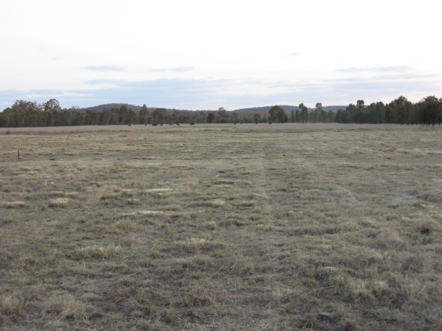 Pre-development View Pre-development View